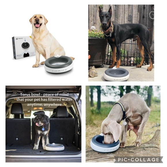 TORUS Filtered 2L/68oz Portable Gravity Dog Water Bowl + 5 new unused filters - Picture 1 of 12